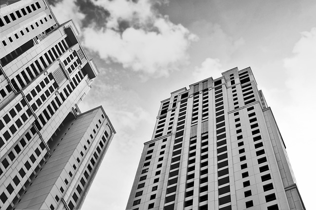 tallest-3093955_640 (1)