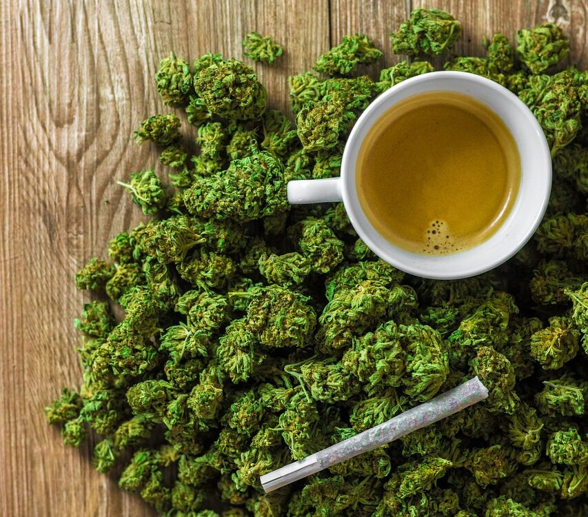 cbd-7665240_1280